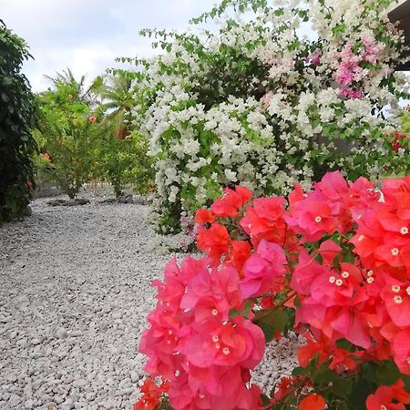Pension Tiputa Lodge Rangiroa מראה חיצוני תמונה