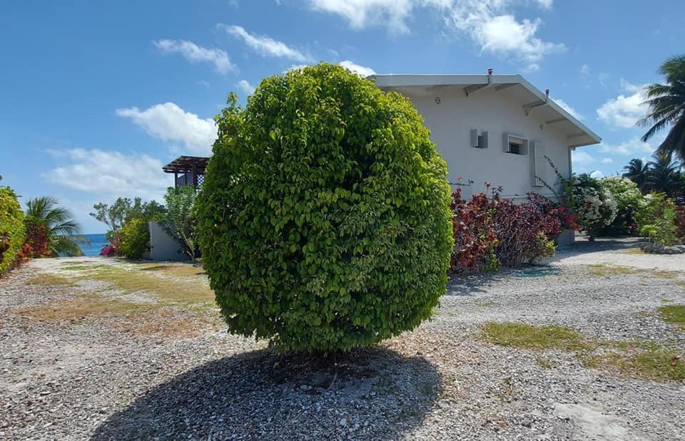Pension Tiputa Lodge Rangiroa מראה חיצוני תמונה