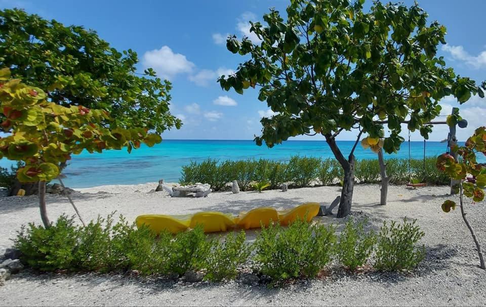 Pension Tiputa Lodge Rangiroa מראה חיצוני תמונה