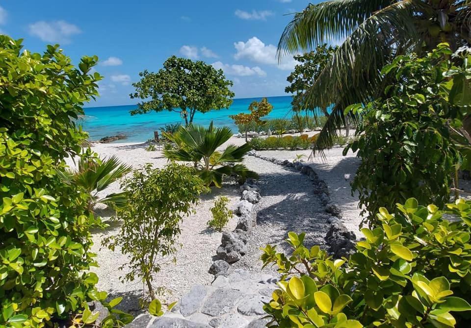 Pension Tiputa Lodge Rangiroa מראה חיצוני תמונה