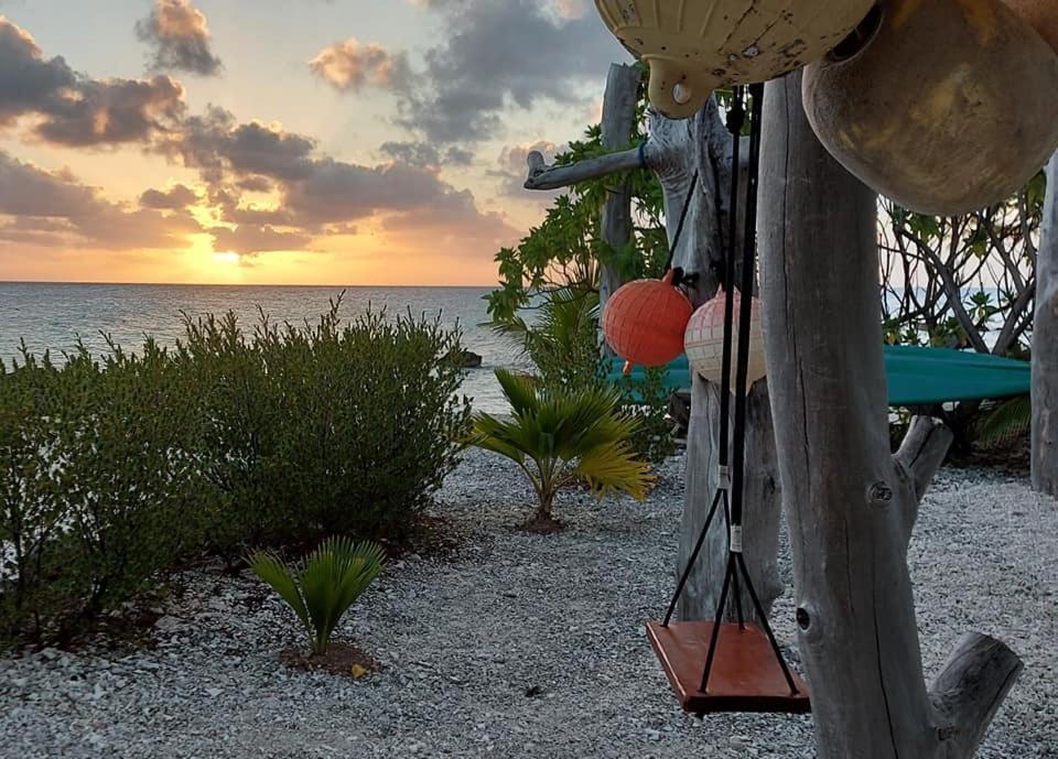 Pension Tiputa Lodge Rangiroa מראה חיצוני תמונה