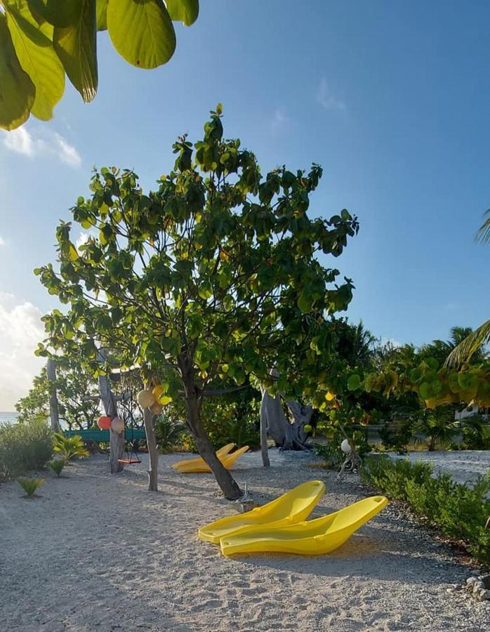 Pension Tiputa Lodge Rangiroa מראה חיצוני תמונה