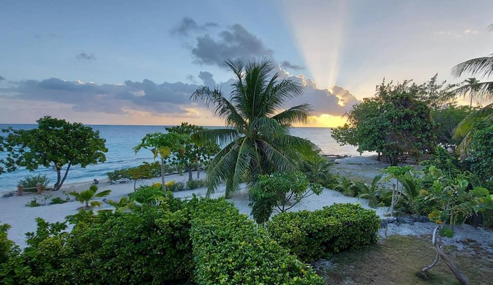 Pension Tiputa Lodge Rangiroa מראה חיצוני תמונה