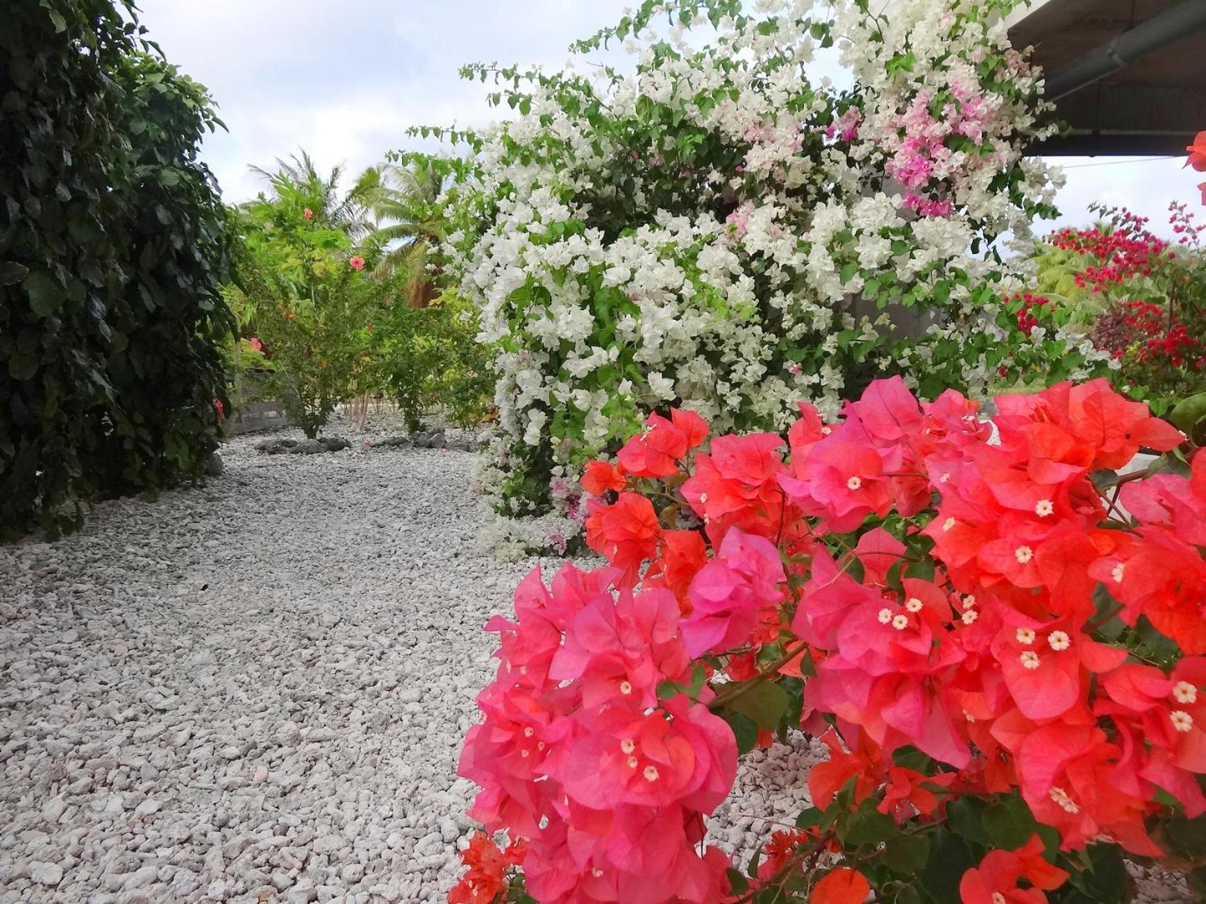 Pension Tiputa Lodge Rangiroa מראה חיצוני תמונה