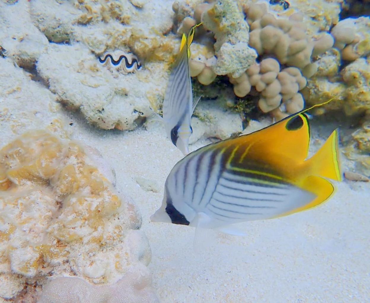 Pension Tiputa Lodge Rangiroa מראה חיצוני תמונה