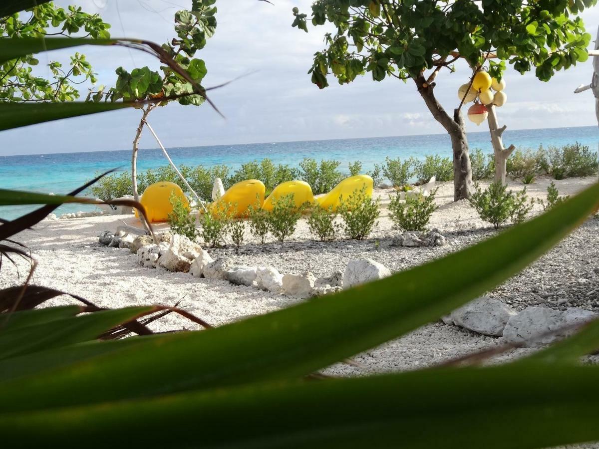Pension Tiputa Lodge Rangiroa מראה חיצוני תמונה