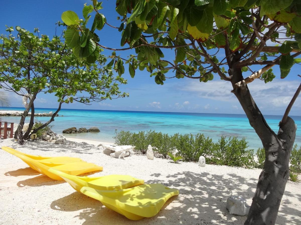 Pension Tiputa Lodge Rangiroa מראה חיצוני תמונה